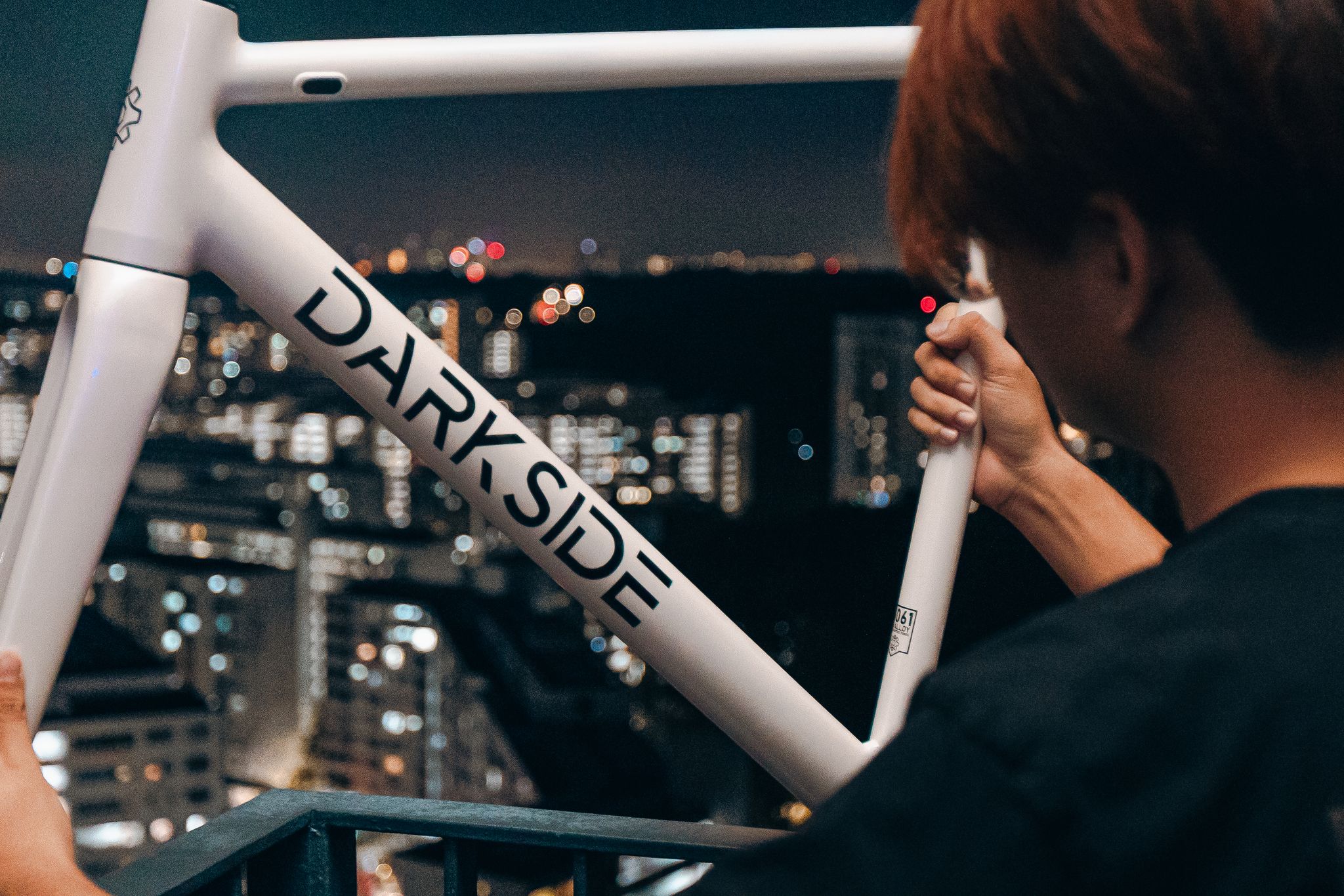 Darkside Mannheim Fixed Gear Frameset